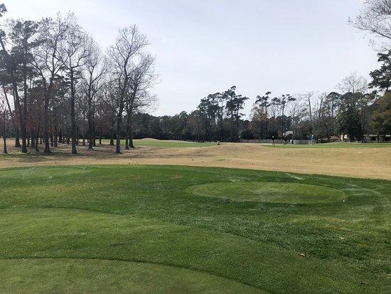 Clube de Golfe de Arcadian Shores